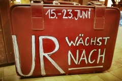koffer-ansich-hinten